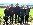 BP_2024_Siegermannschaft
